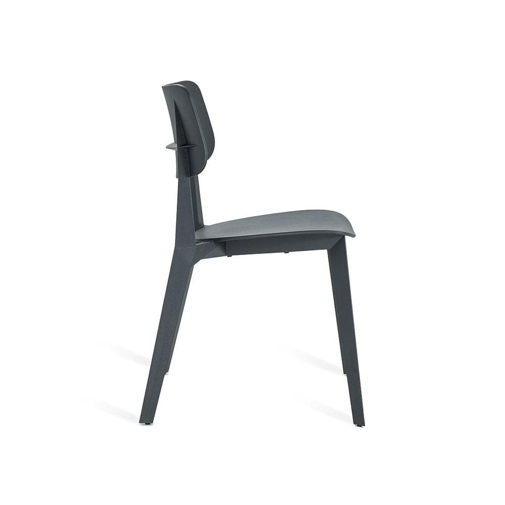 Stellar - Kitchen & Dining Room Chairs by TOOU