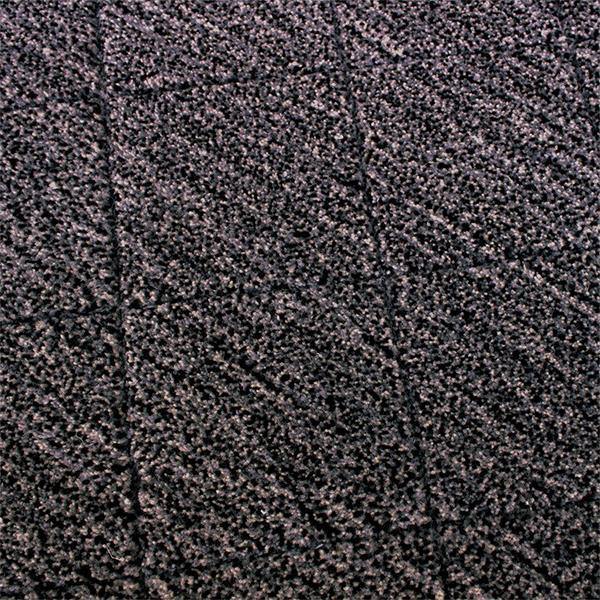 Triumph - Thirty Six Knots - thirtysixknots.com