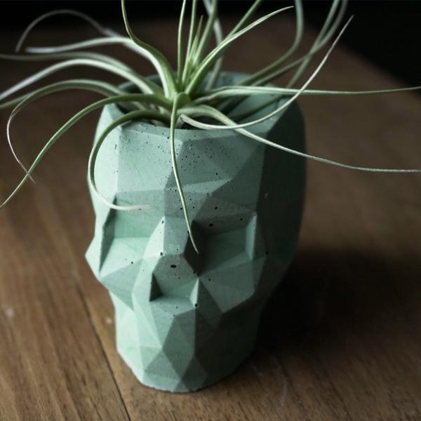 Geo Skull Planters - Thirty Six Knots - thirtysixknots.com