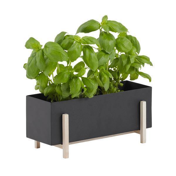 Botanic Box - Thirty Six Knots - thirtysixknots.com