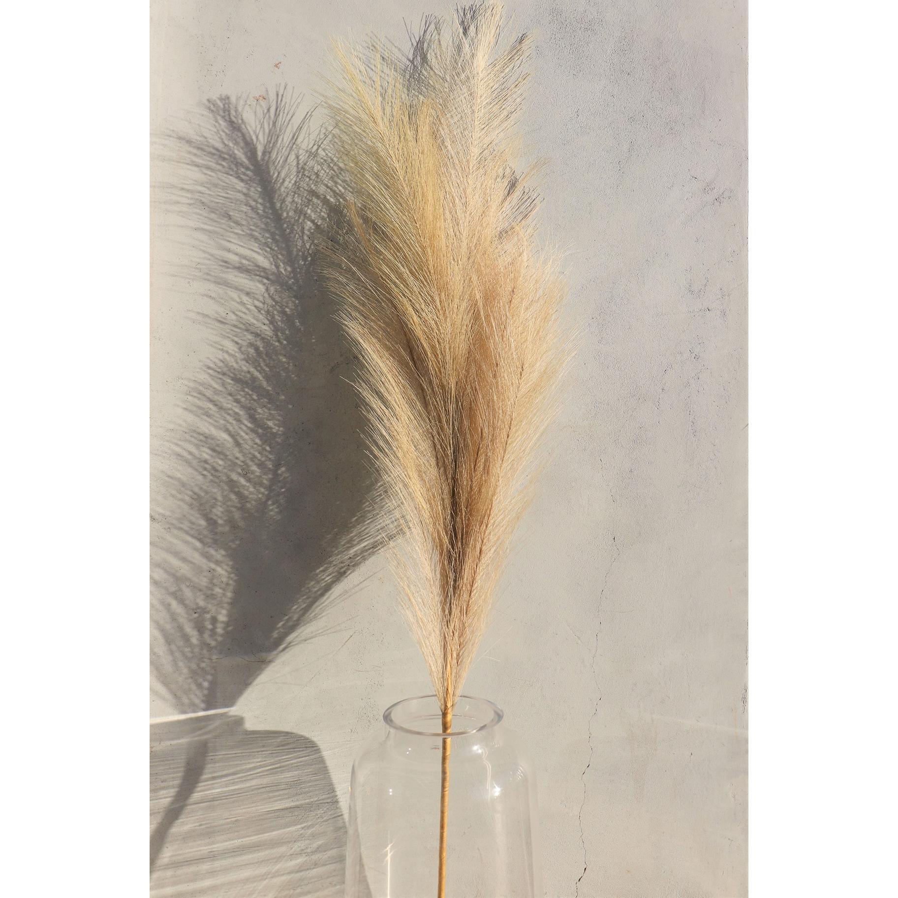 Large Pampas Grass - Single Stems - Thirty Six Knots - thirtysixknots.com
