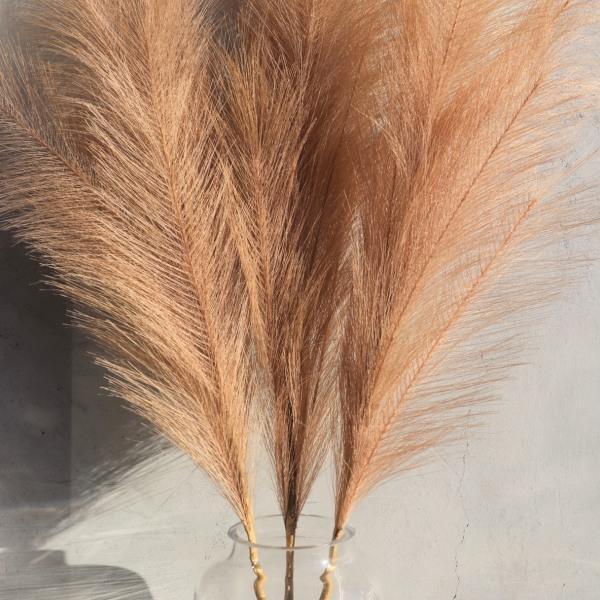 Large Pampas Grass - Single Stems - Thirty Six Knots - thirtysixknots.com