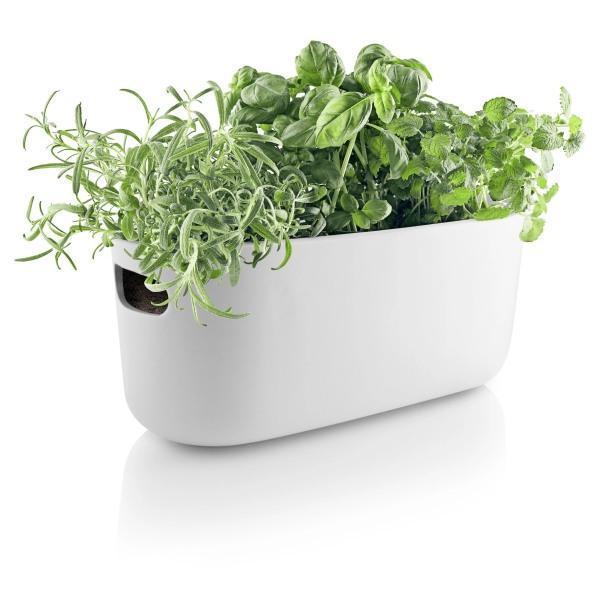 EVA SOLO Self-Watering Herb Organizer - Thirty Six Knots - thirtysixknots.com