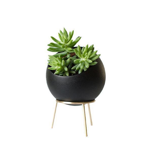 Kitbox Globe Midi Planter - Thirty Six Knots - thirtysixknots.com