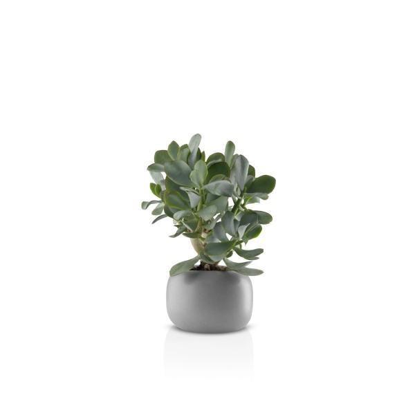 EVA SOLO Stone Flowerpot - Thirty Six Knots - thirtysixknots.com