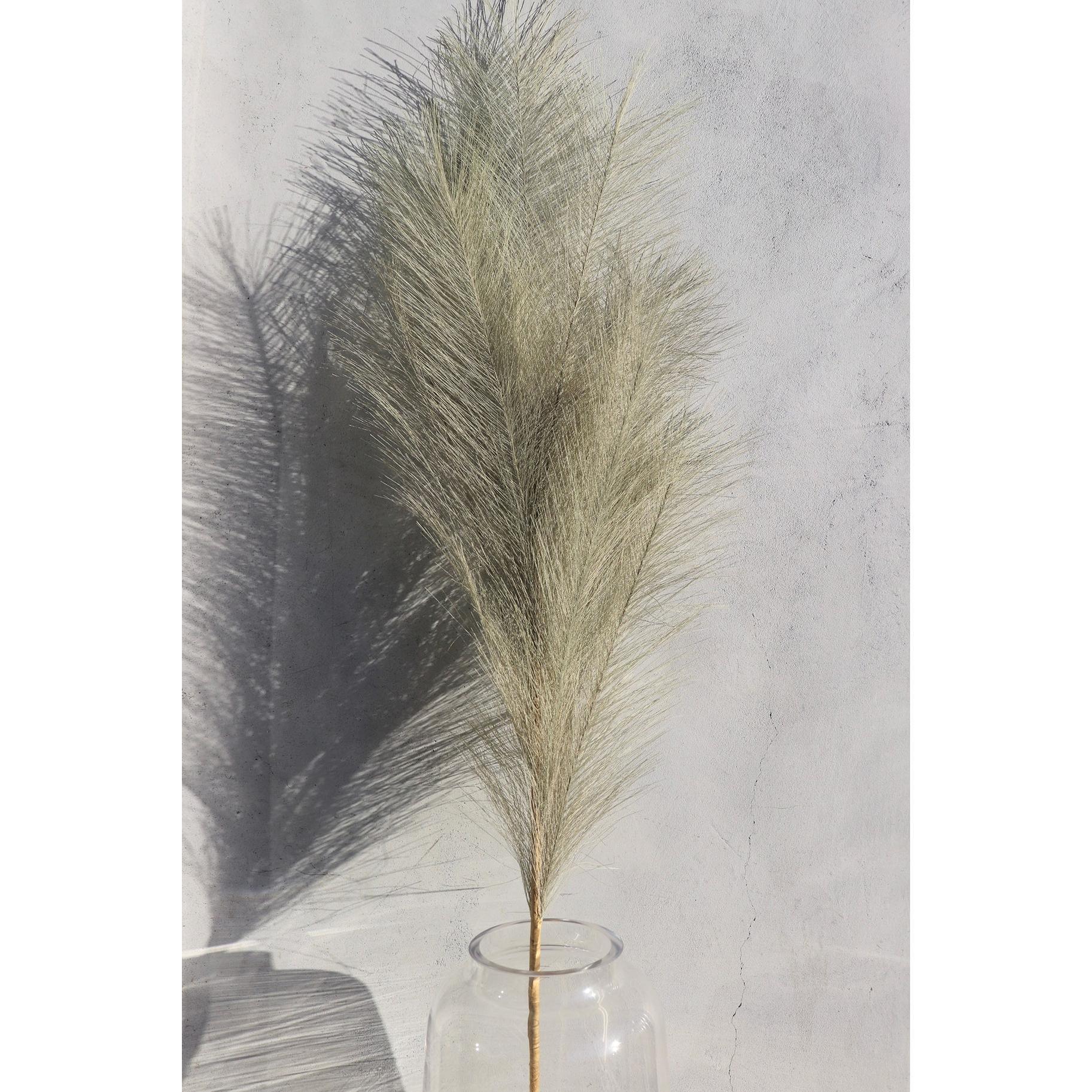 Large Pampas Grass - Single Stems - Thirty Six Knots - thirtysixknots.com