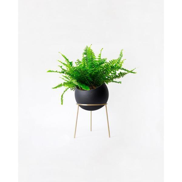 Kitbox Globe Maxi Planter - Thirty Six Knots - thirtysixknots.com