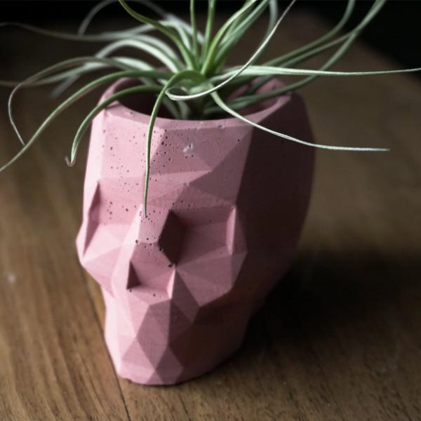 Geo Skull Planters - Thirty Six Knots - thirtysixknots.com