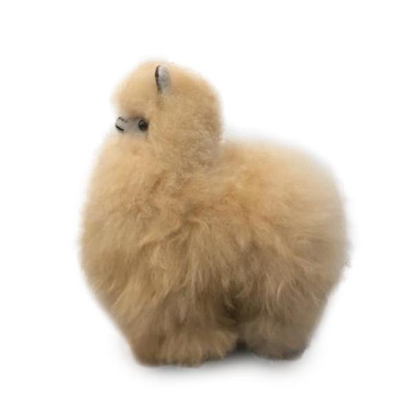 Latierra Alpaca Plush - Small - Thirty Six Knots - thirtysixknots.com