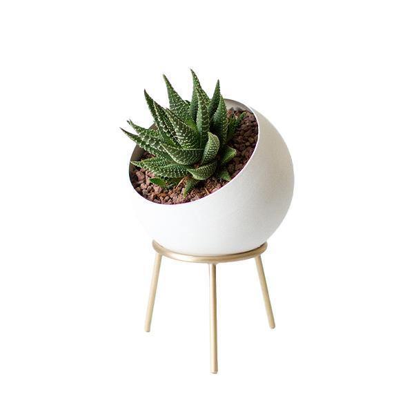 Kitbox Globe Mini Planter - Thirty Six Knots - thirtysixknots.com