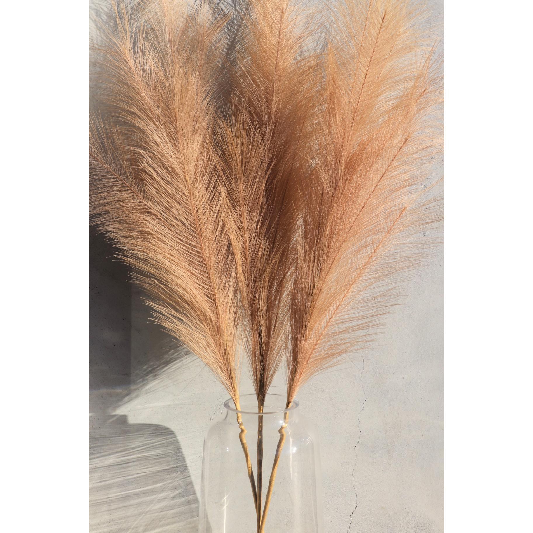 Large Pampas Grass - Single Stems - Thirty Six Knots - thirtysixknots.com