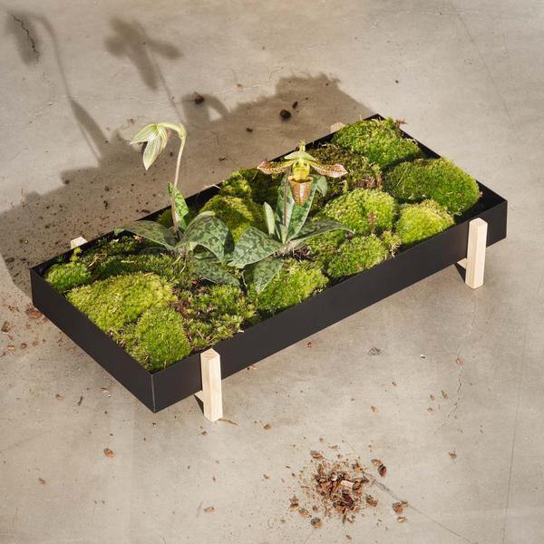 Botanic Tray - Thirty Six Knots - thirtysixknots.com