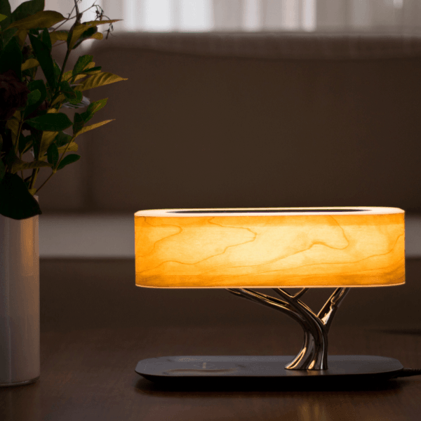 Light of Life - Thirty Six Knots - thirtysixknots.com