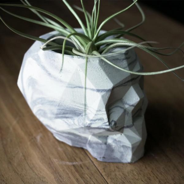 Geo Skull Planters - Thirty Six Knots - thirtysixknots.com