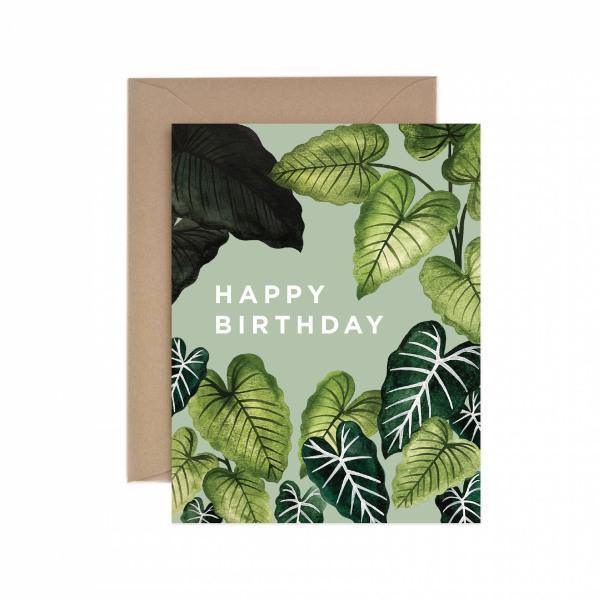 Alocasia Happy Birthday Greeting Card - Thirty Six Knots - thirtysixknots.com