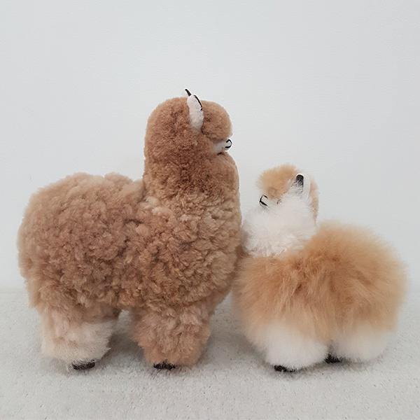 Latierra Alpaca Plush - Small - Thirty Six Knots - thirtysixknots.com