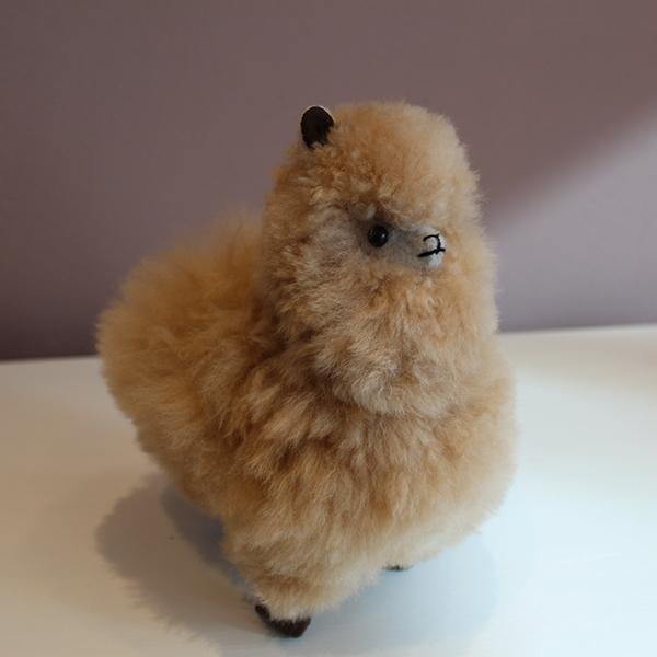 Latierra Alpaca Plush - Small - Thirty Six Knots - thirtysixknots.com