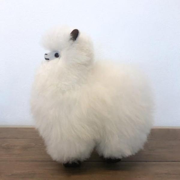 Latierra Alpaca Plush - Small - Thirty Six Knots - thirtysixknots.com
