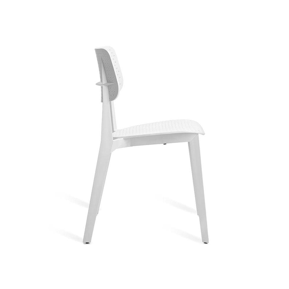 Stellar  -  Kitchen & Dining Room Chairs  by  TOOU