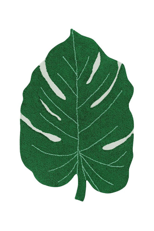 Monstera Leaf