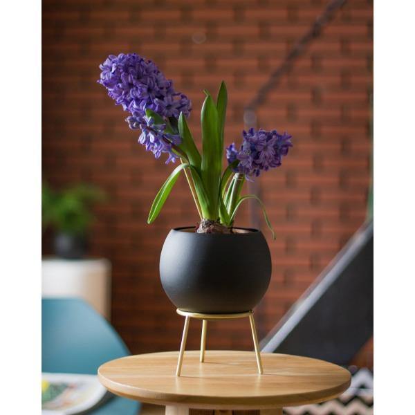 Kitbox Globe Midi Planter - Thirty Six Knots - thirtysixknots.com