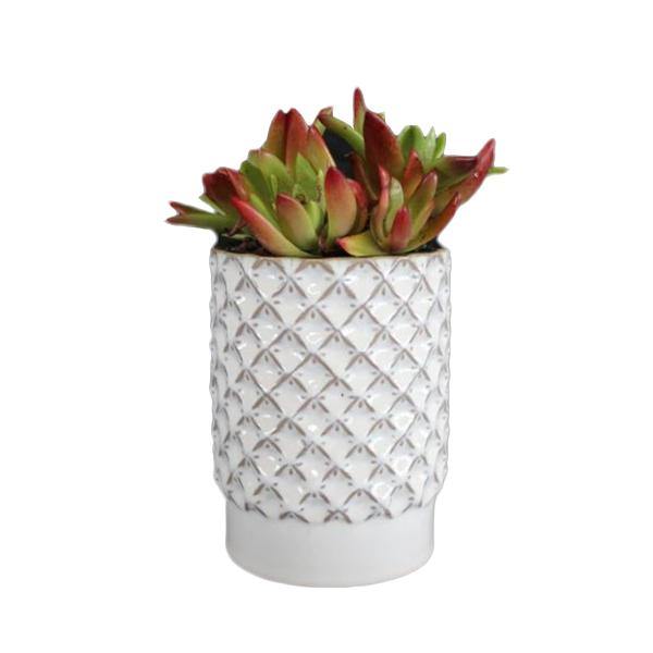 Yarnnakarn Ceramics Basketweave Vase - Thirty Six Knots - thirtysixknots.com