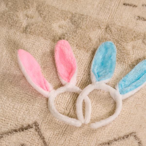 Easter Bunny Ears - Thirty Six Knots - thirtysixknots.com