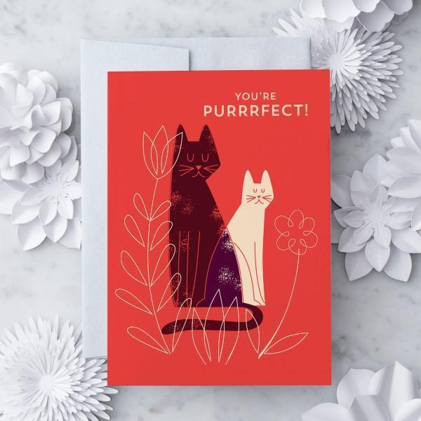 You're Purrrfect Cat Greeting Card - Thirty Six Knots - thirtysixknots.com