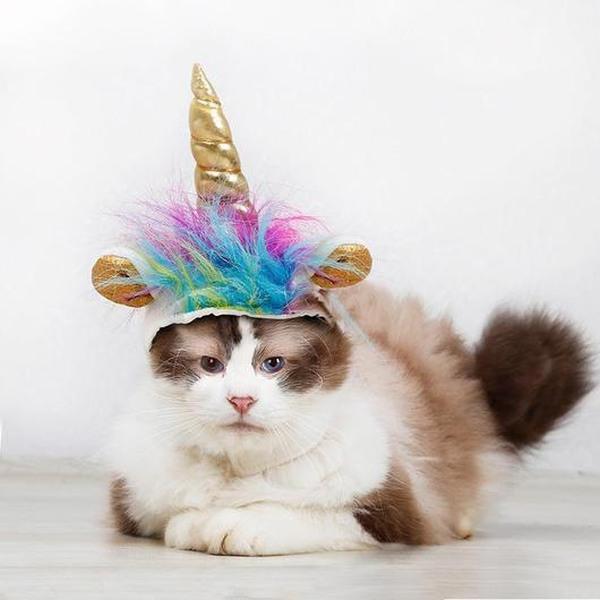 Unicorn Halloween Costume Pets Hats - Thirty Six Knots - thirtysixknots.com